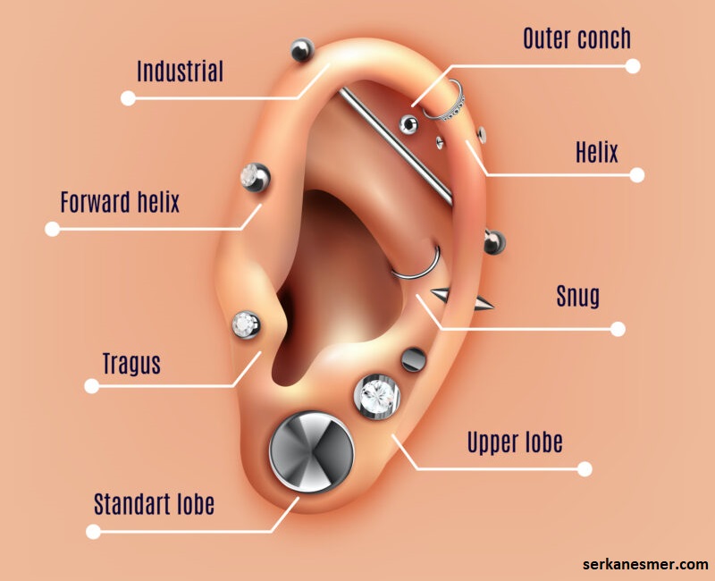 Kulak Piercing Yerleri